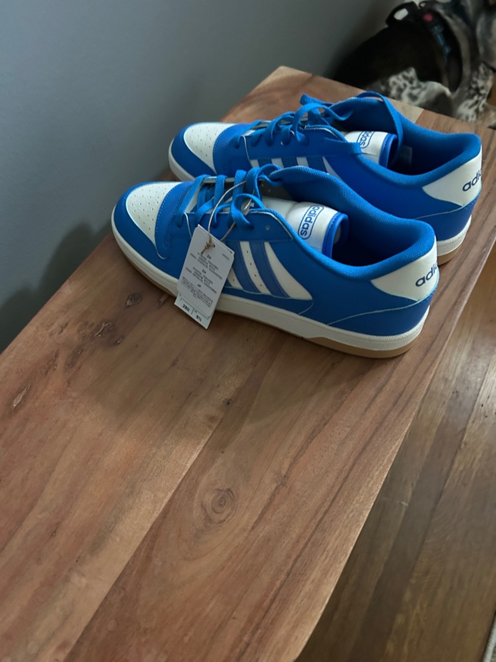 adidas Royal Blue & White Court Sneakers - Picture 2 of 5